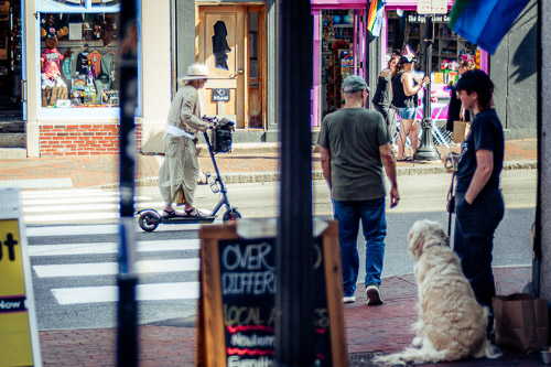 Portland, ME - May 2025